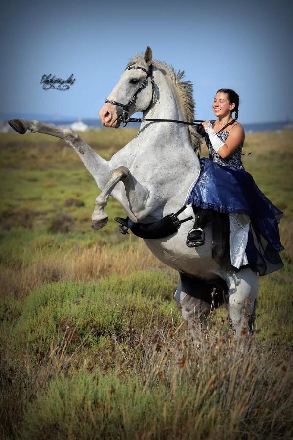 شقة Kembs  في Repos Rouge-Plaisir Au Milieu Des Chevaux المظهر الخارجي الصورة